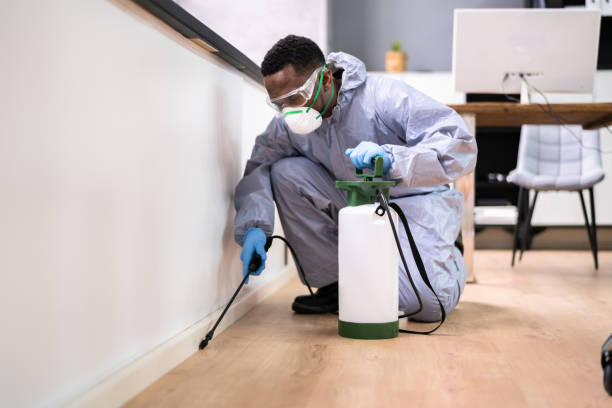 Best Real Estate Pest Inspections  in Akwesasne, NY